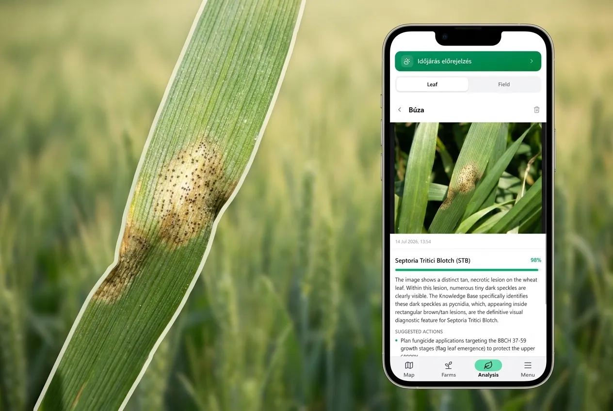 AI Leaf Analysis
