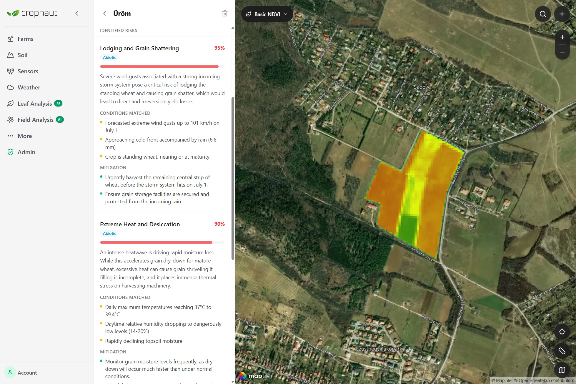 Screenshot — AI field analysis report