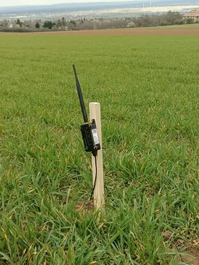 Sensor deployed in field — real photo